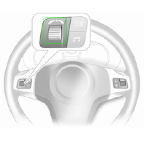 Ruleta izquierda del mando izquierdo del volante
